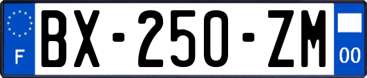 BX-250-ZM