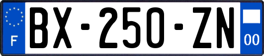 BX-250-ZN