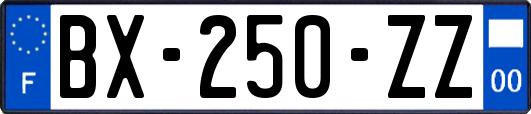 BX-250-ZZ