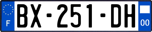 BX-251-DH