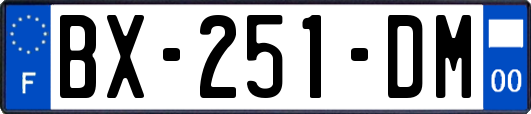 BX-251-DM