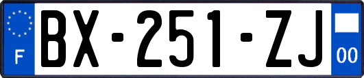 BX-251-ZJ