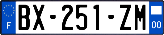 BX-251-ZM