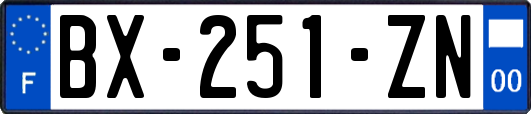 BX-251-ZN