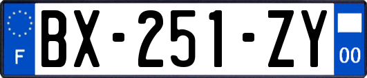 BX-251-ZY