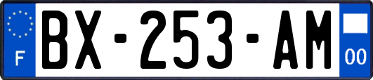 BX-253-AM