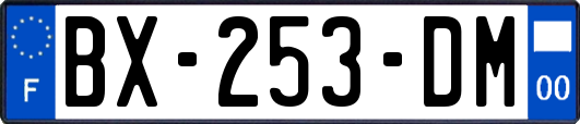 BX-253-DM