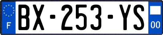 BX-253-YS