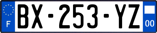 BX-253-YZ