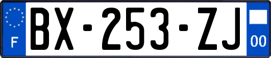 BX-253-ZJ