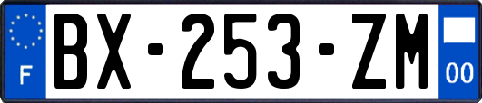 BX-253-ZM