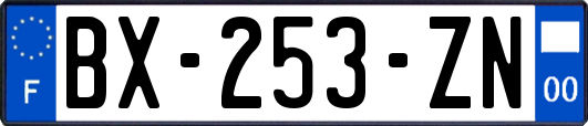 BX-253-ZN