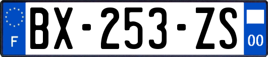 BX-253-ZS