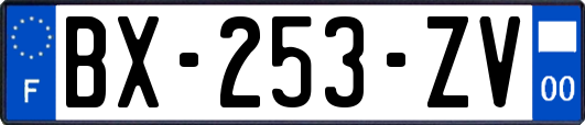 BX-253-ZV