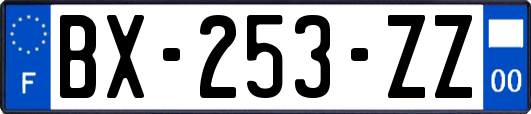 BX-253-ZZ