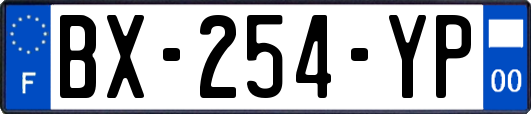 BX-254-YP