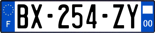 BX-254-ZY