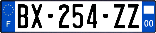 BX-254-ZZ