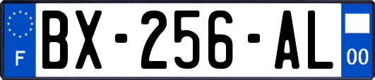 BX-256-AL