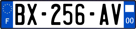 BX-256-AV