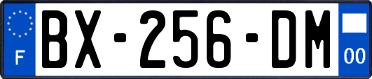 BX-256-DM