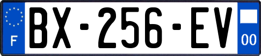 BX-256-EV