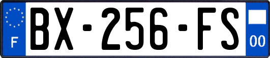 BX-256-FS