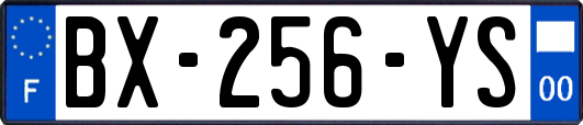 BX-256-YS