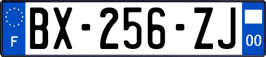 BX-256-ZJ