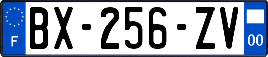 BX-256-ZV