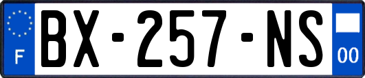 BX-257-NS