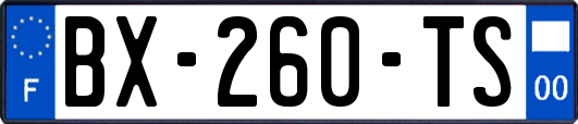 BX-260-TS