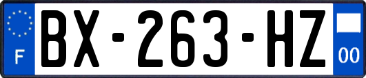 BX-263-HZ