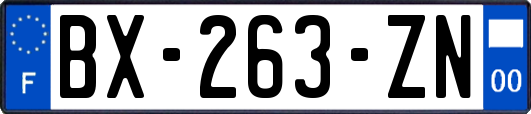 BX-263-ZN