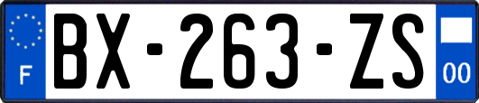 BX-263-ZS