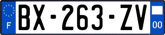 BX-263-ZV
