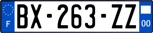 BX-263-ZZ