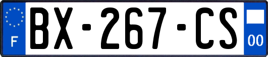 BX-267-CS