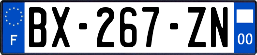 BX-267-ZN