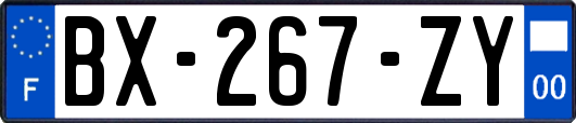 BX-267-ZY