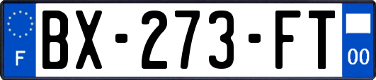 BX-273-FT