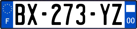 BX-273-YZ