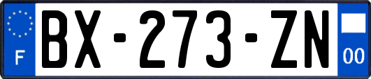 BX-273-ZN