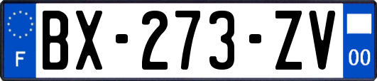 BX-273-ZV