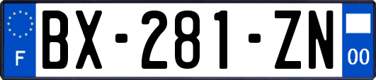 BX-281-ZN