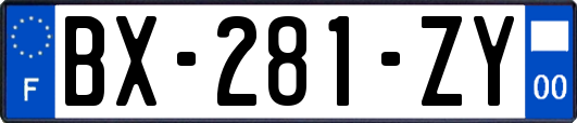 BX-281-ZY