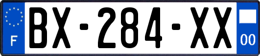 BX-284-XX