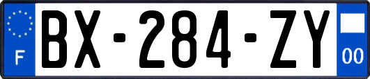 BX-284-ZY