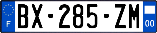 BX-285-ZM