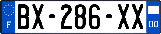 BX-286-XX